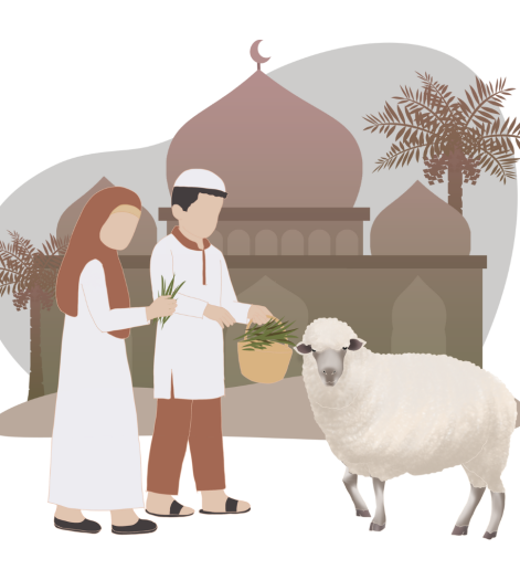 Sheep Fattening